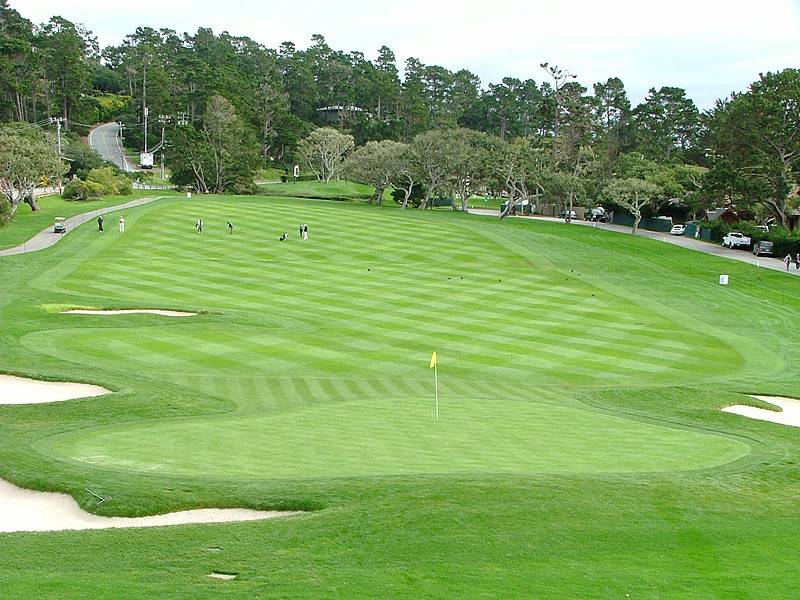 Golf Course Background
